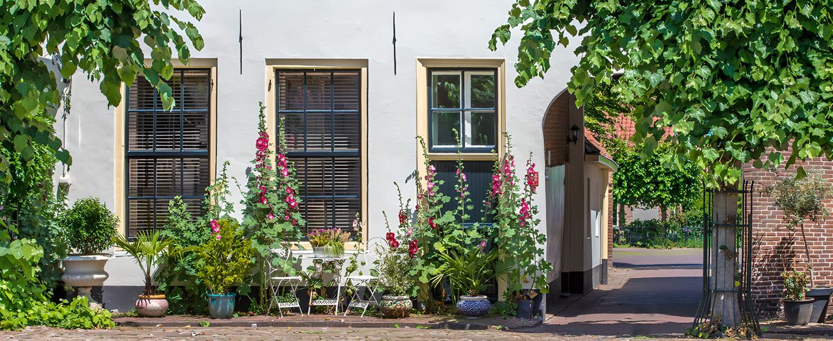 OCUK75915: Charming Flower-Adorned Facade