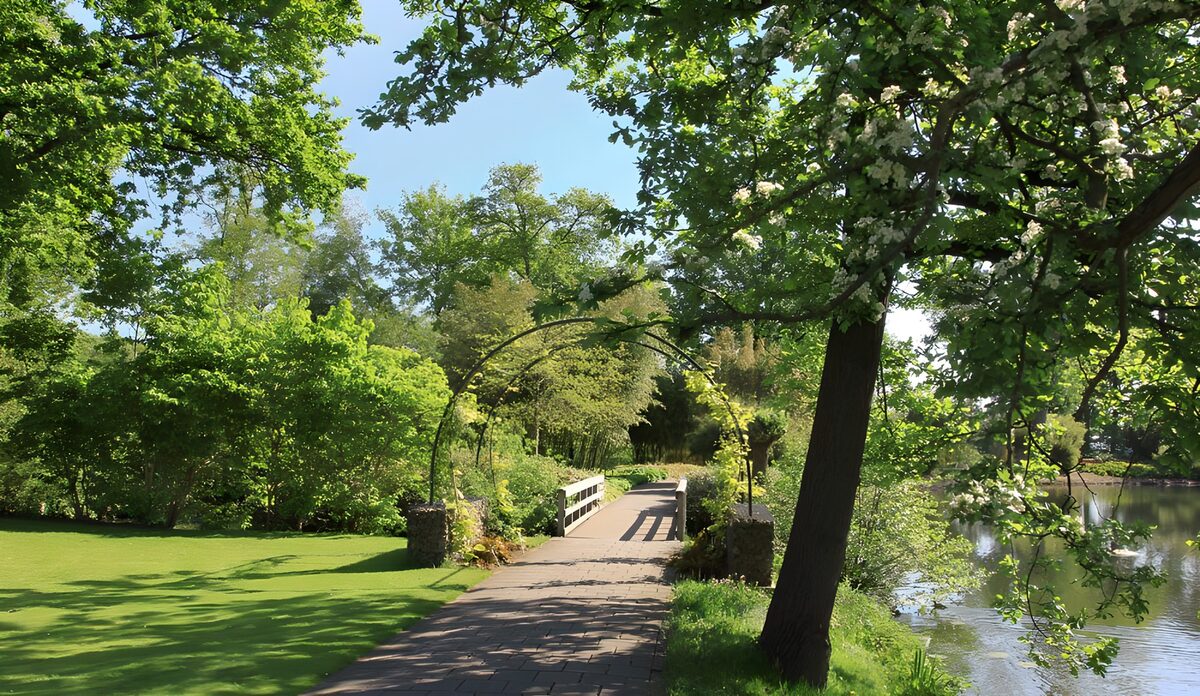 Walking trail with bridge next to pond