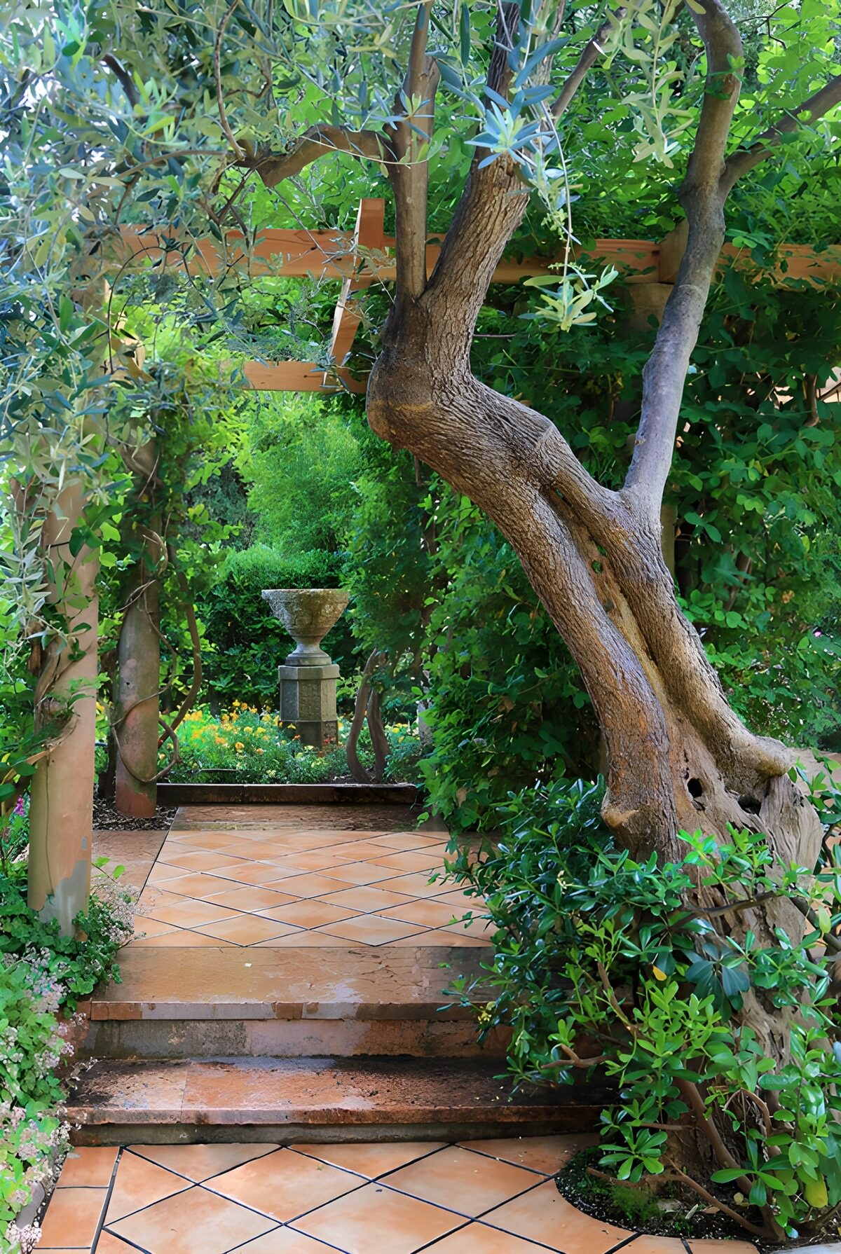 OCUK34825: Tranquil Garden Pathway