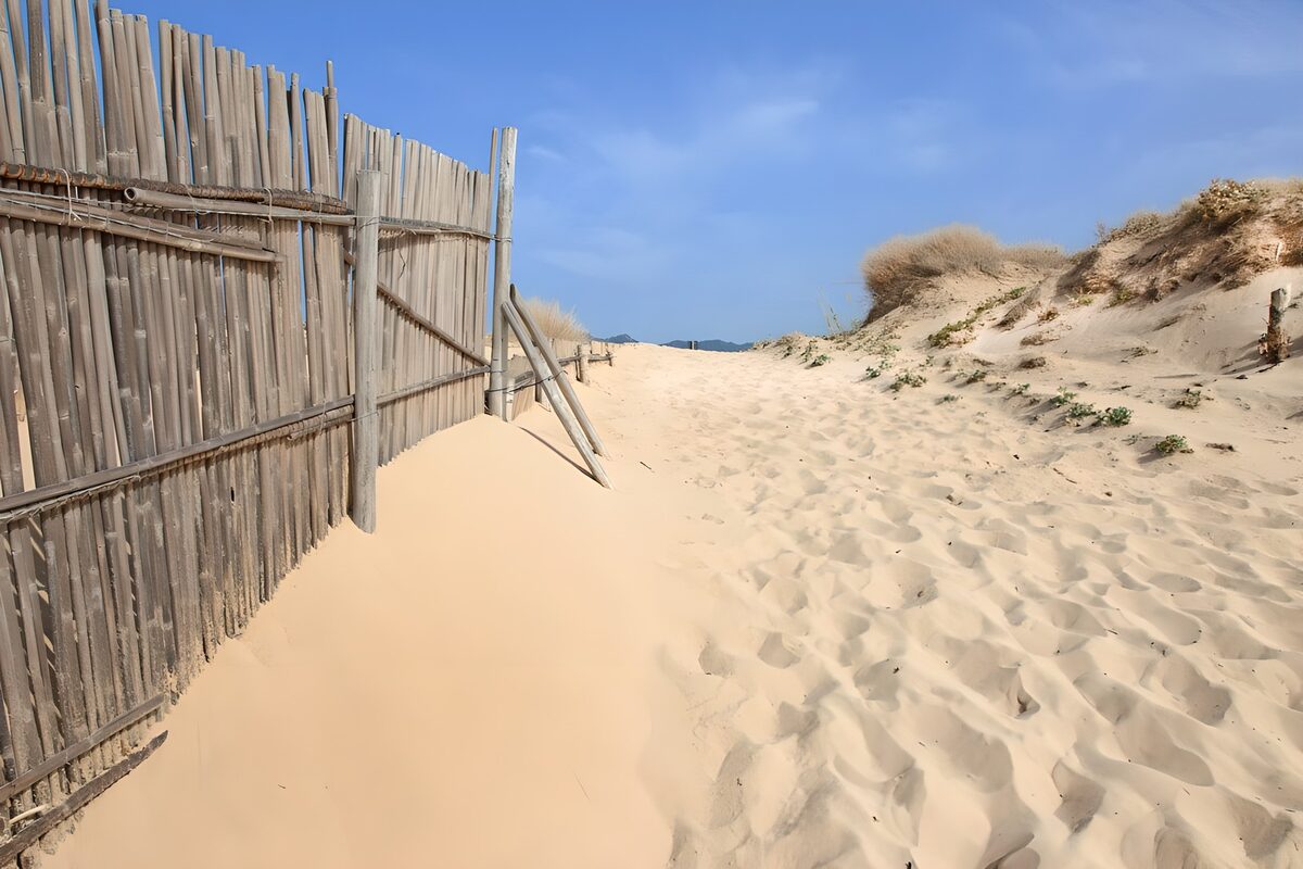 OCUK97183: Tranquil Beach Pathway