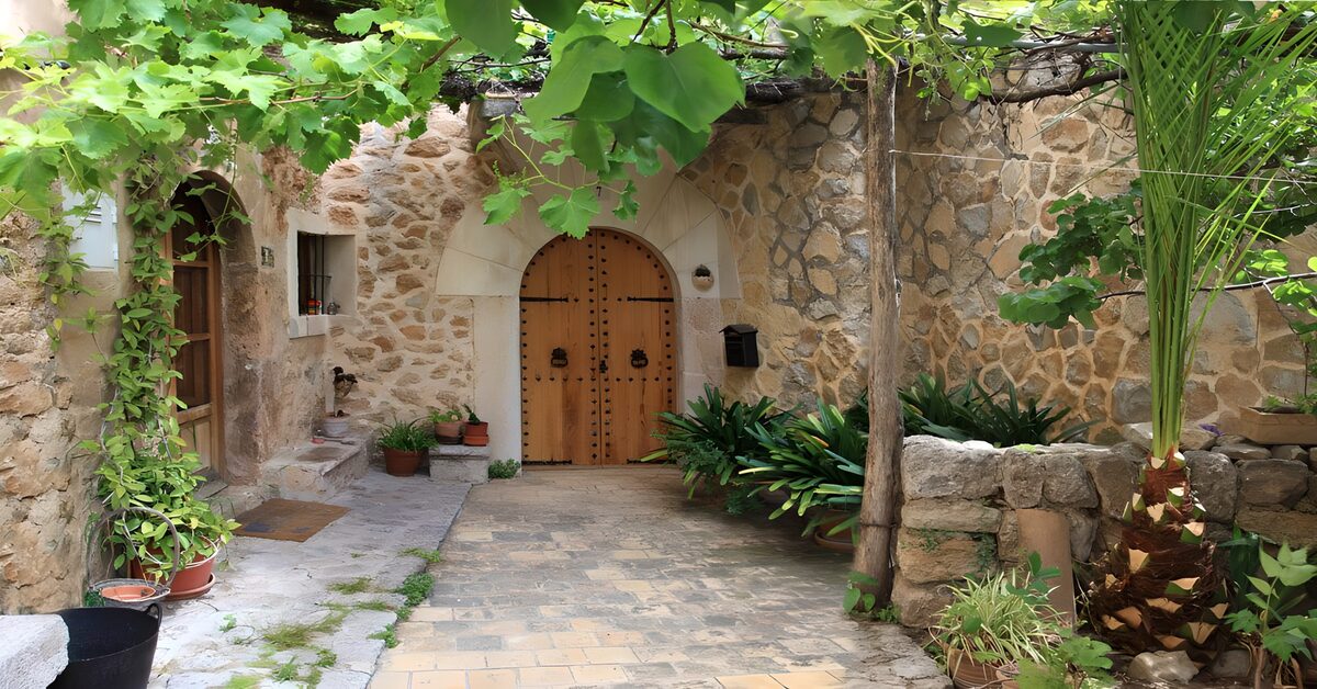 OCUK46678: Panoramic photo of a patio with an old door and pergola overgrown with grapes