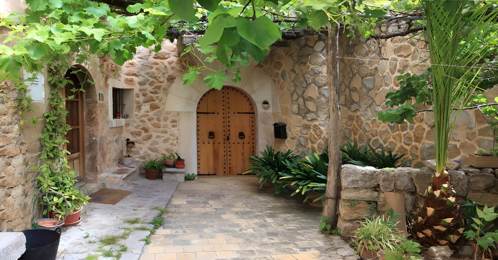 OCUK46678: Panoramic photo of a patio with an old door and pergola overgrown with grapes