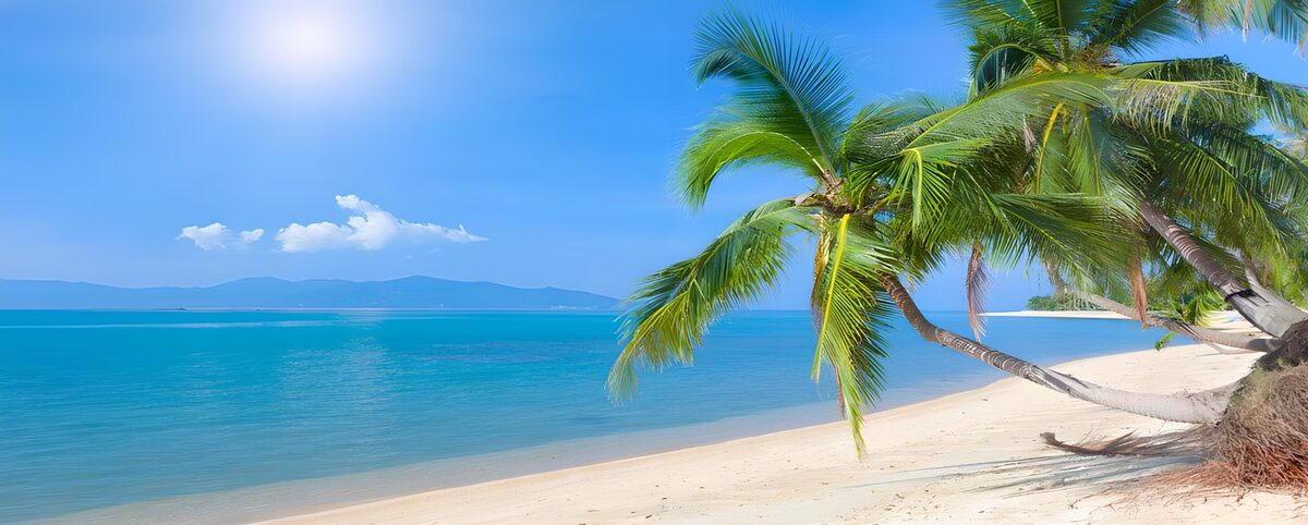 OCUK74825: Tropical Paradise by the Sea