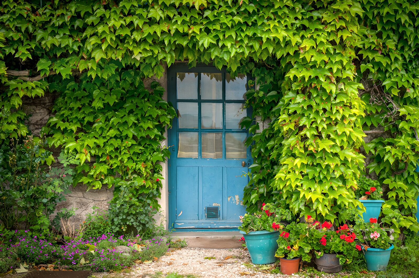 OCUK32661: Enchanted Blue Door Surrounded by Greenery