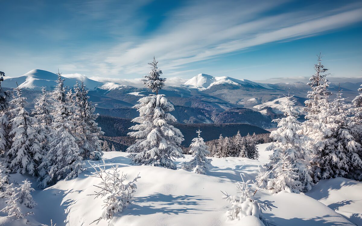 OCUK35323: Winter Wonderland in the Mountains