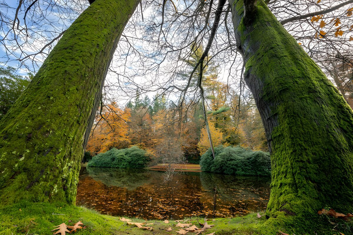 OCUK66932: Tranquil Autumn Reflections