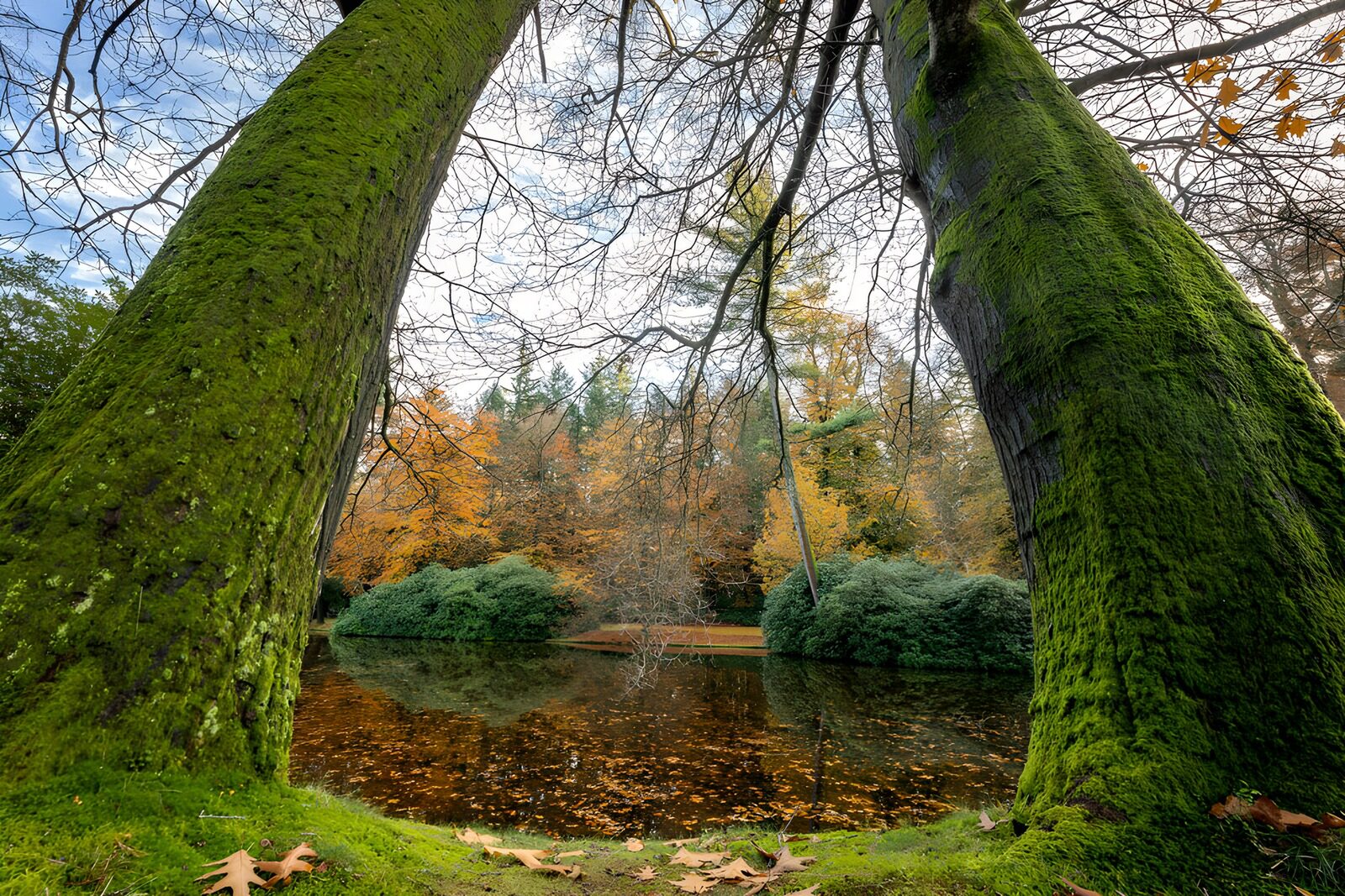 OCUK66932: Tranquil Autumn Reflections