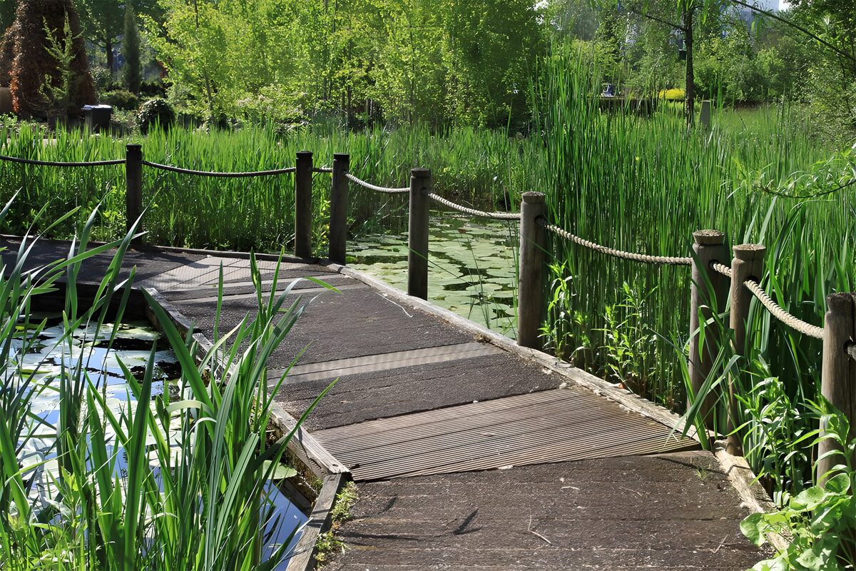 Wooden footpath over pond