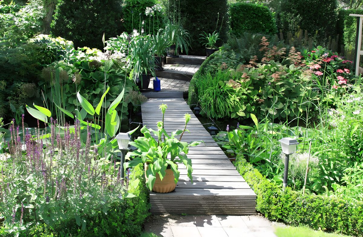 Wooden gangway in front of pond in a botanical garden