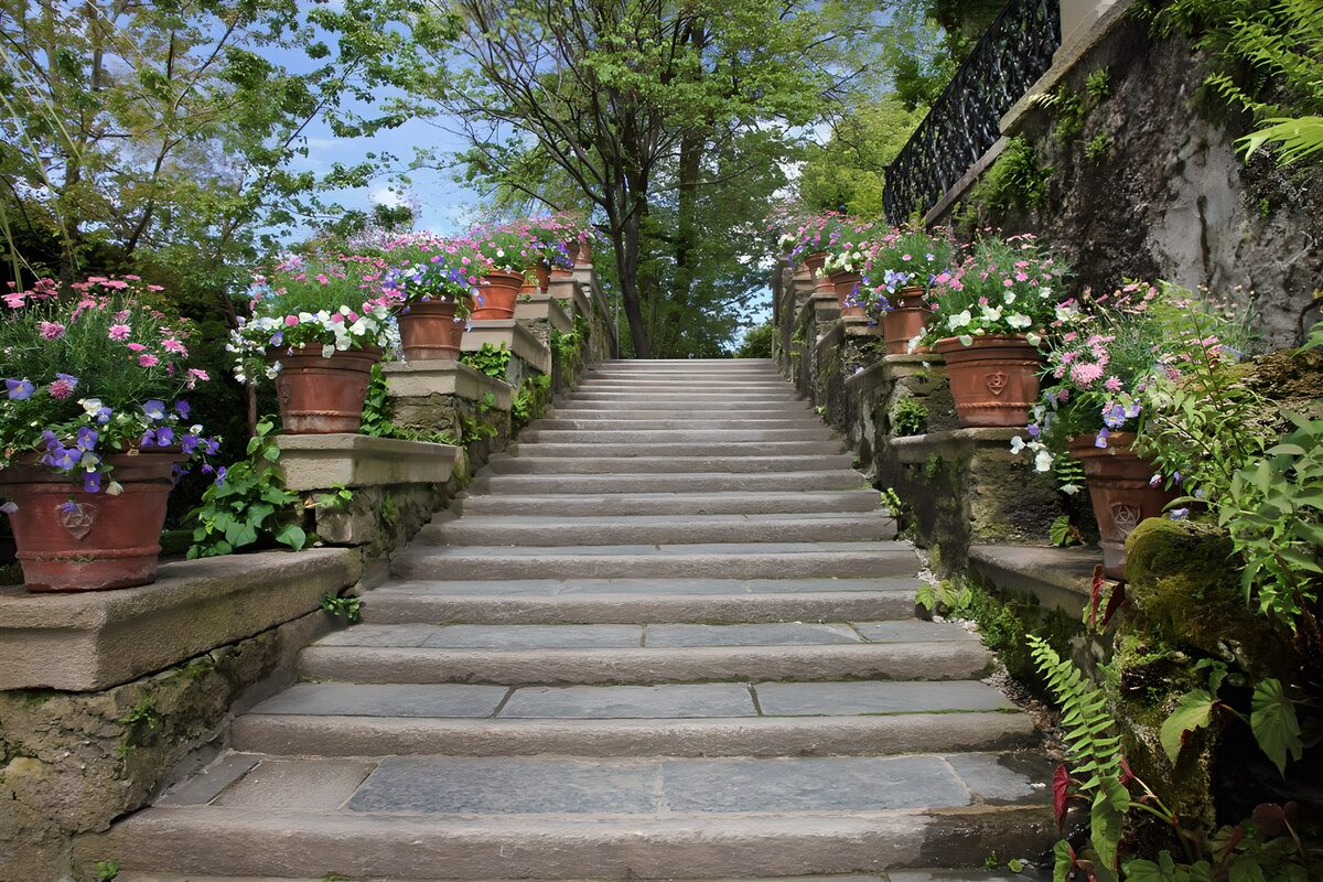OCUK45069: Floral Pathway to Serenity