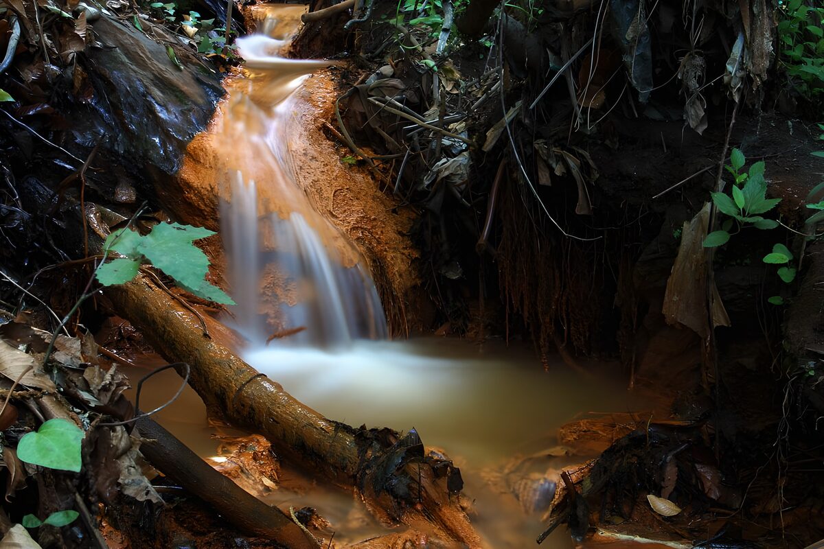 OCUK75615: Tranquil Forest Stream