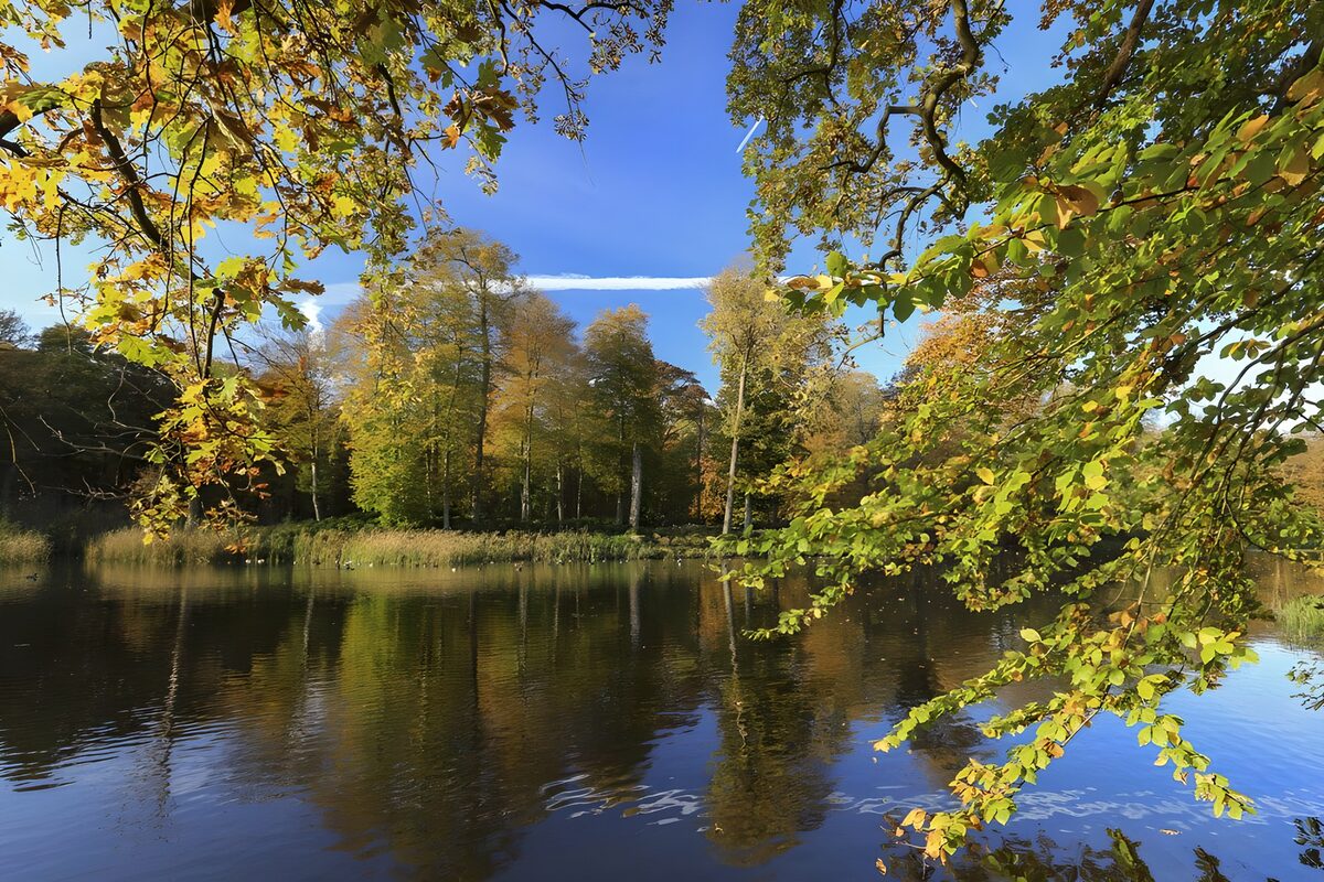 Pond at "Kasteel Broekhuizen" in "Leersum"