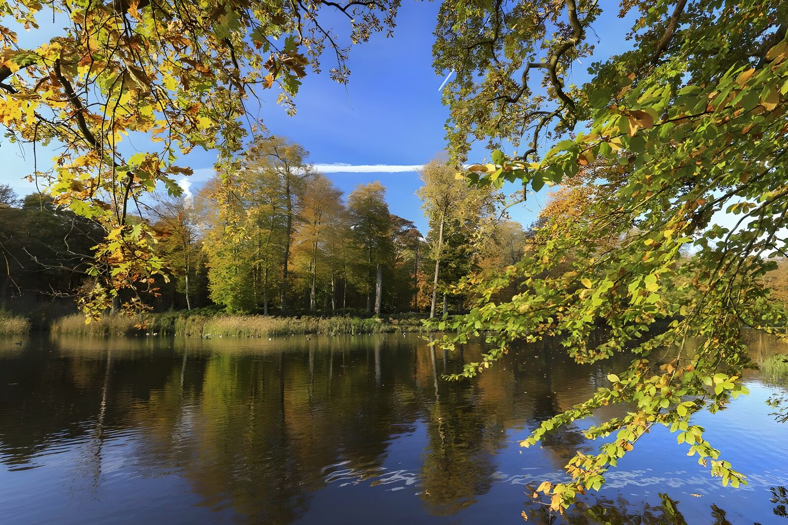 OCUK79717: Pond at "Kasteel Broekhuizen" in "Leersum"