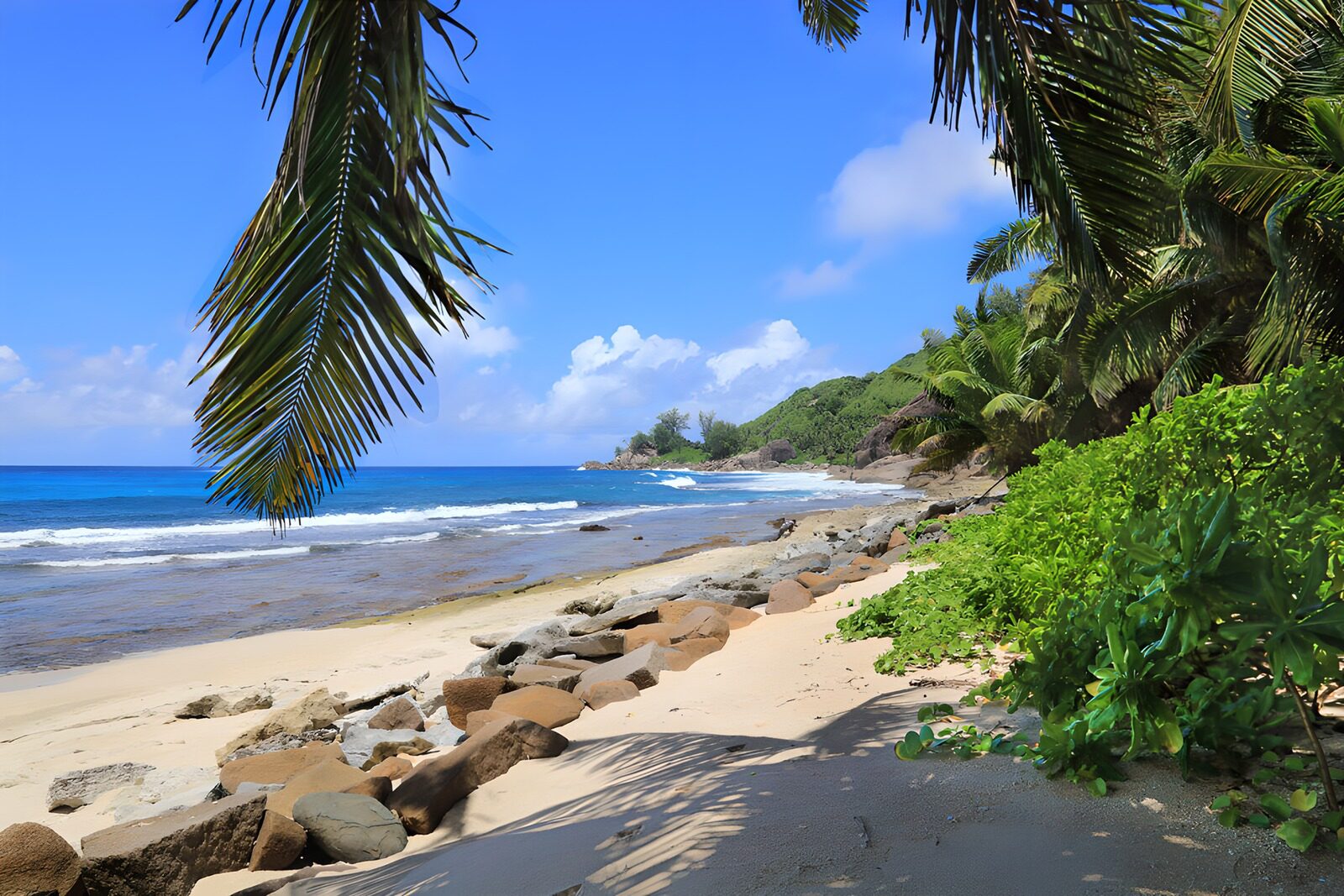 OCUK49526: Serene Coastal Paradise