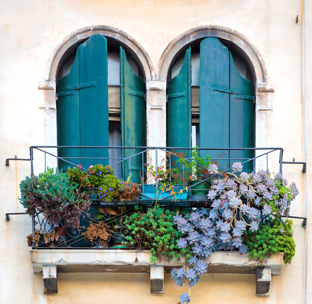 OCUK55369: Green Shuttered Balcony with Plants