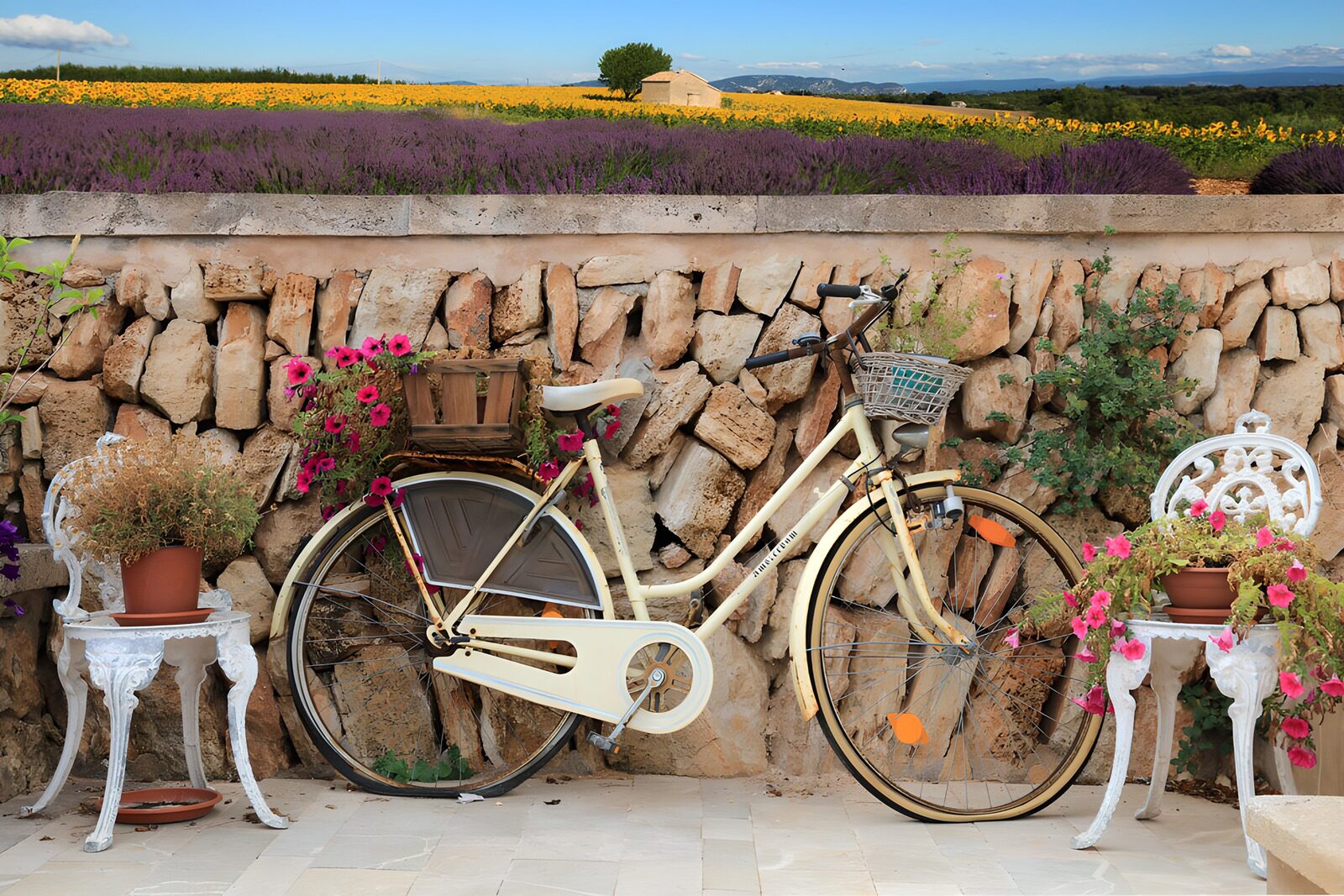 OCUK40311: Charming Bicycle Amidst Flower Pots
