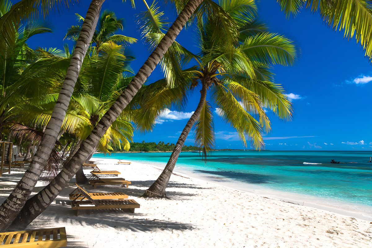 OCUK57887: Tropical Paradise by the Sea
