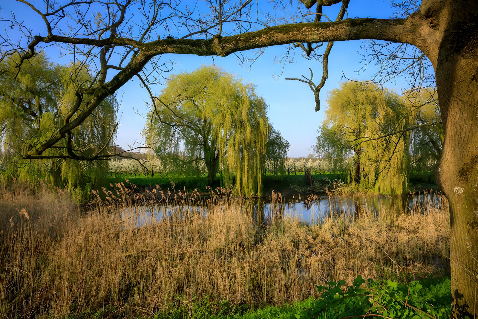 OCUK65884: Tranquil Waterside Serenity