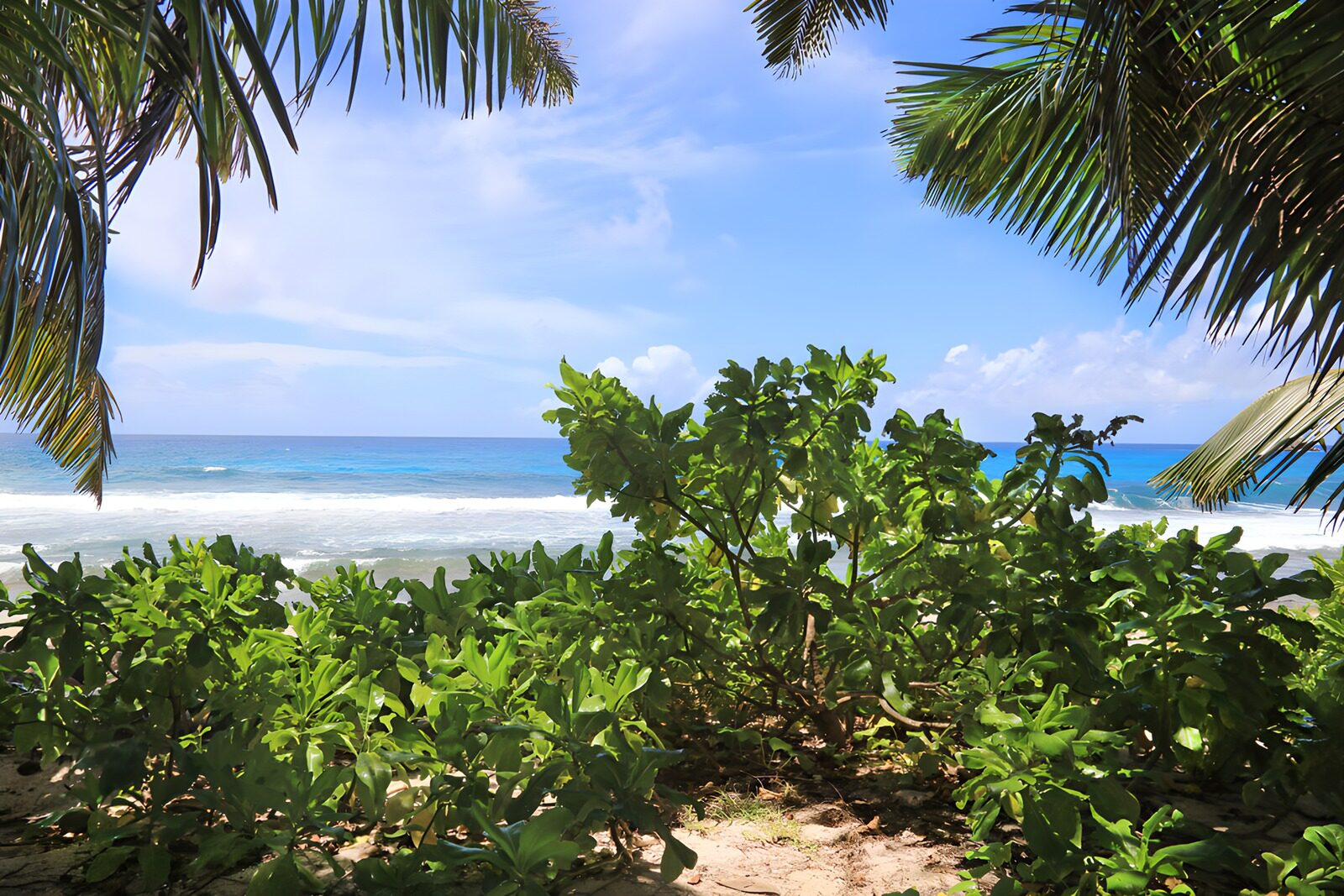 OCUK76699: Serene Coastal Paradise