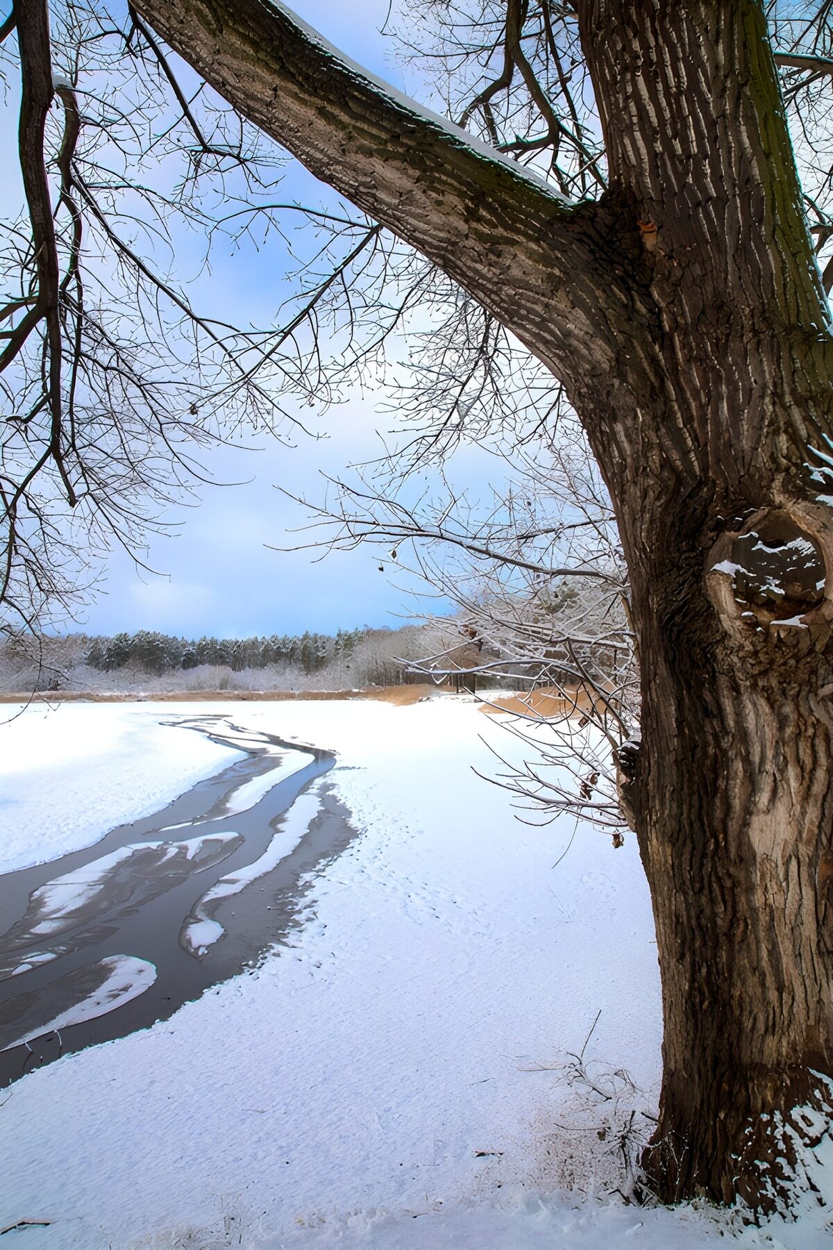 OCUK68244: Winter Serenity by the River