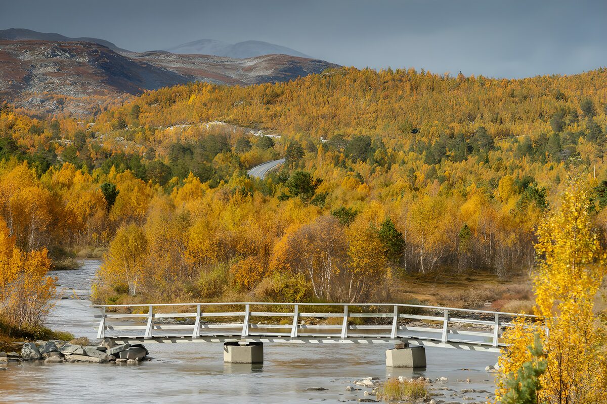 OCUK58472: Autumn Serenity in Nature's Embrace