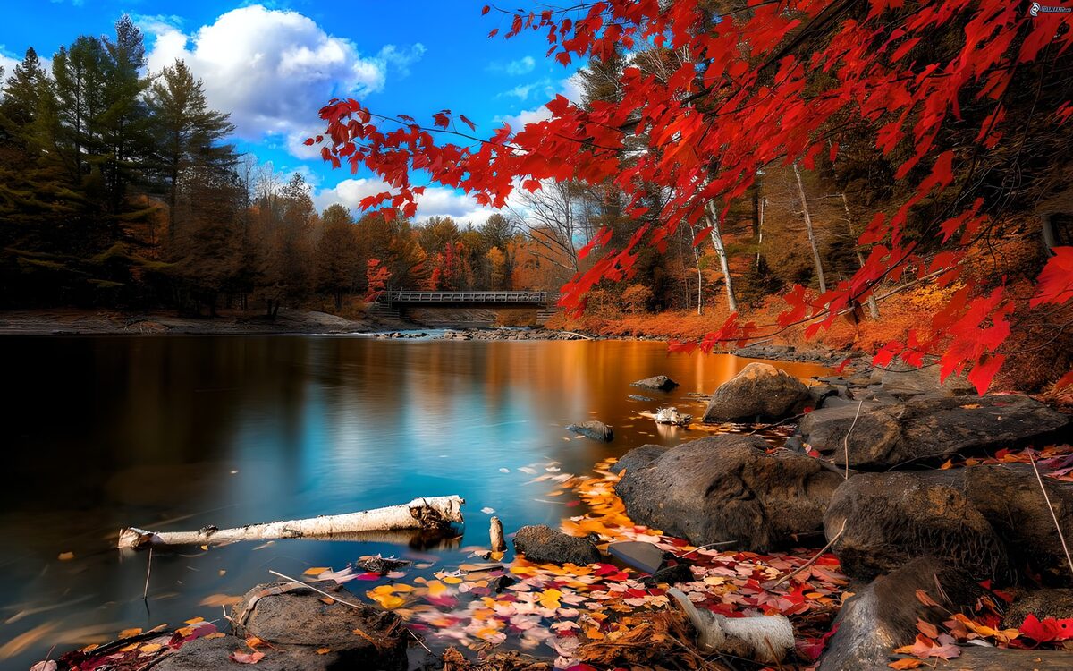 OCUK27930: Autumn Serenity by the Riverbank