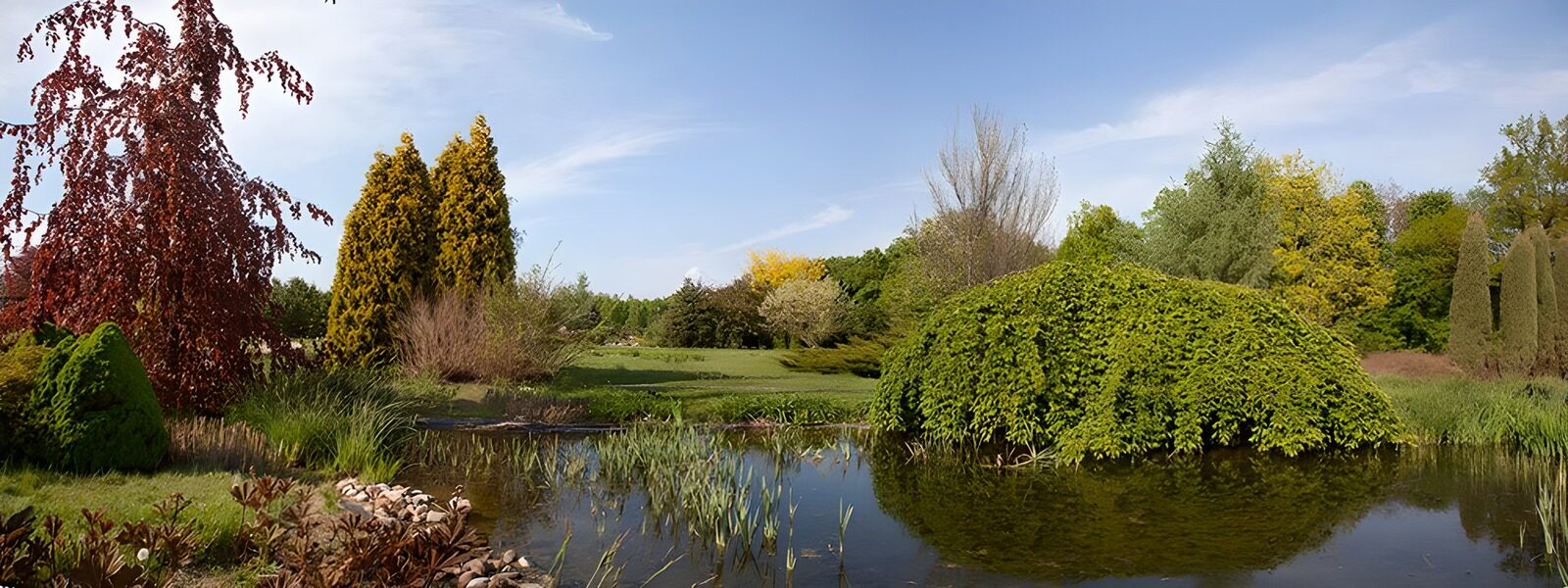 OCUK93656: Beautiful park with a pond in Warsaw