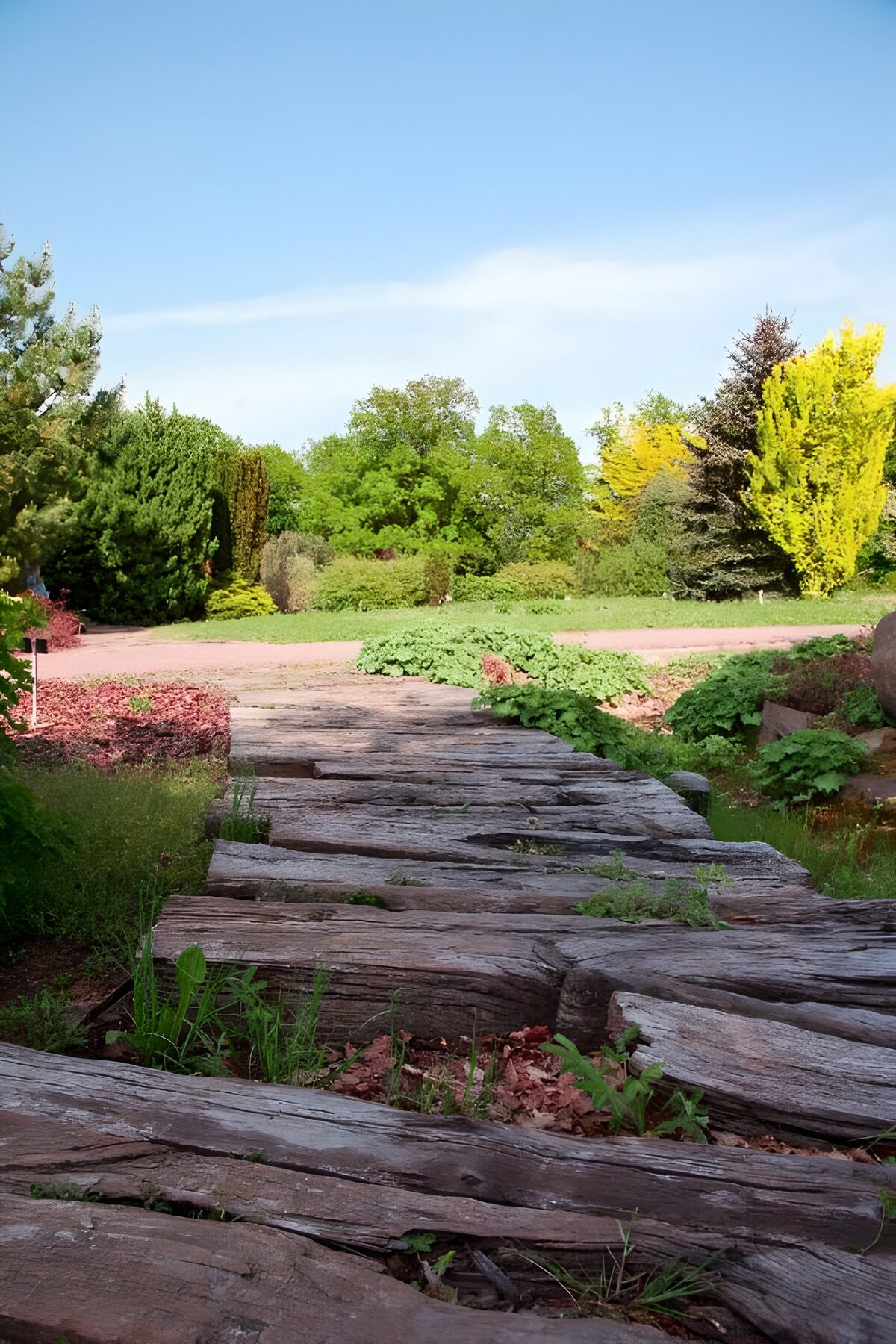 OCUK94791: Tranquil Garden Pathway