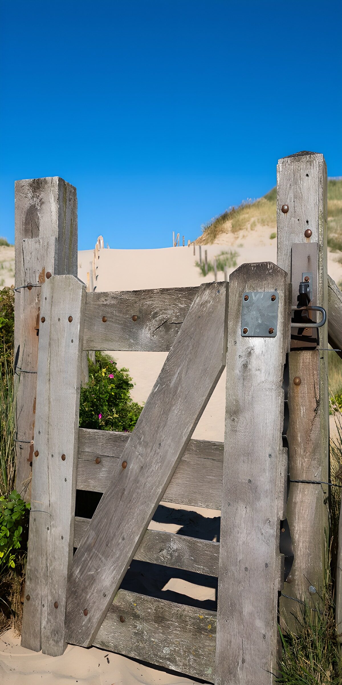 OCUK71149: Coastal Gate to the Sandy Dunes