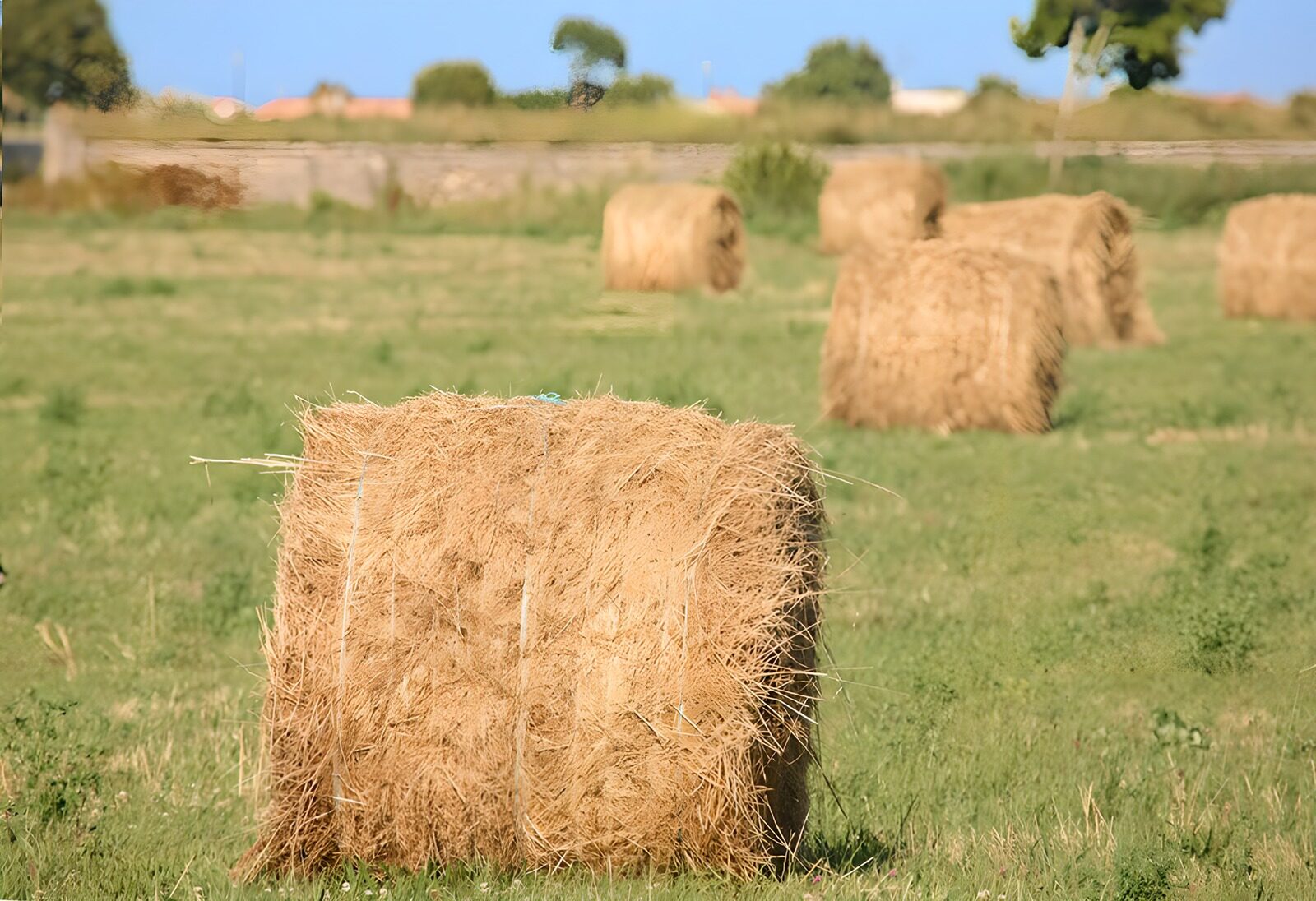 OCUK25572: Straw Bales in the Sunlit Field