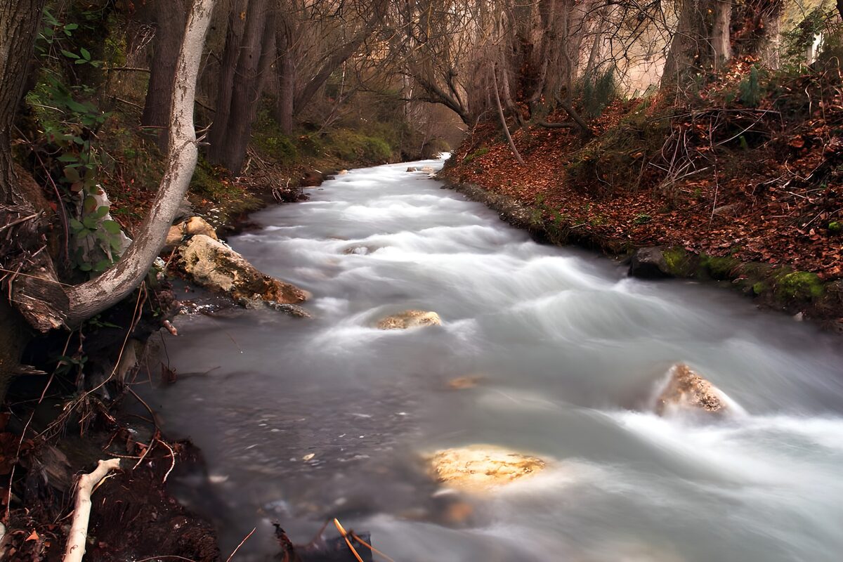 OCUK26368: Tranquil Stream in Autumn