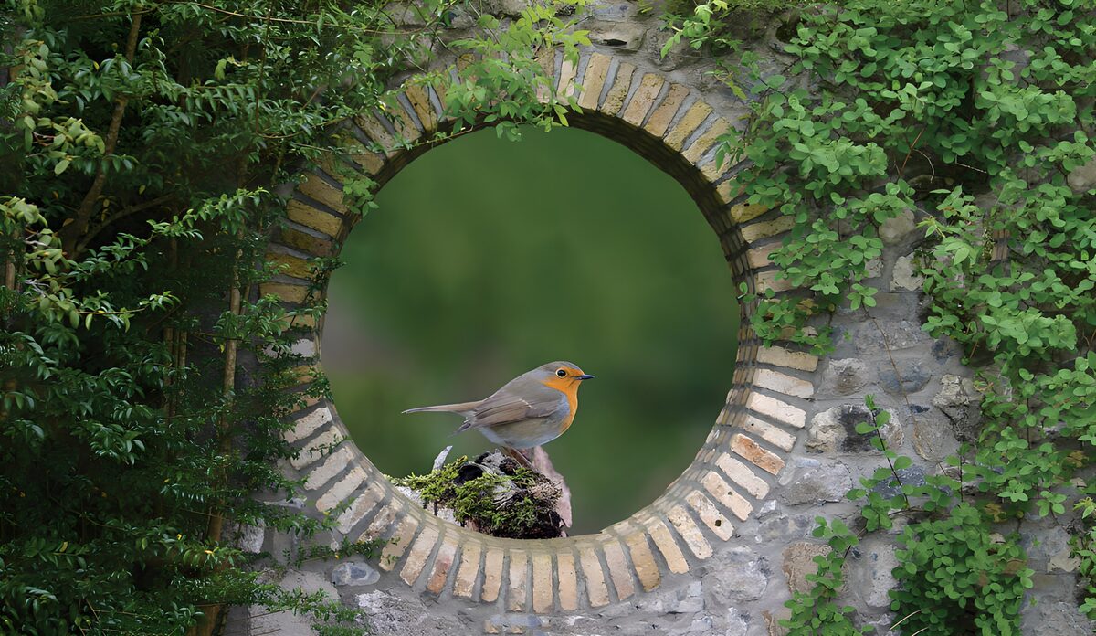 OCUK68879: "Charming Robin in a Garden Frame"