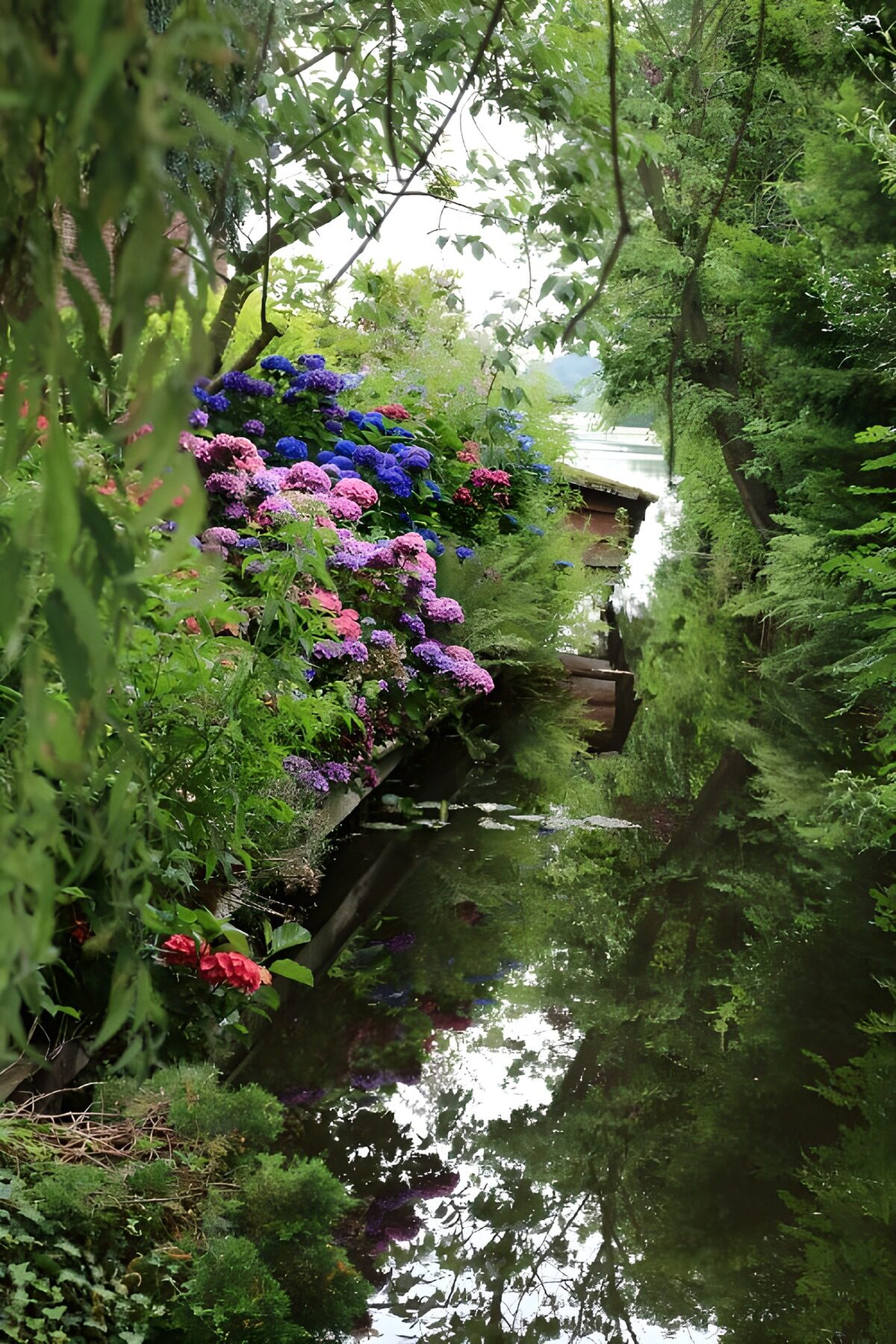 OCUK69952: Hortensia at the waters in