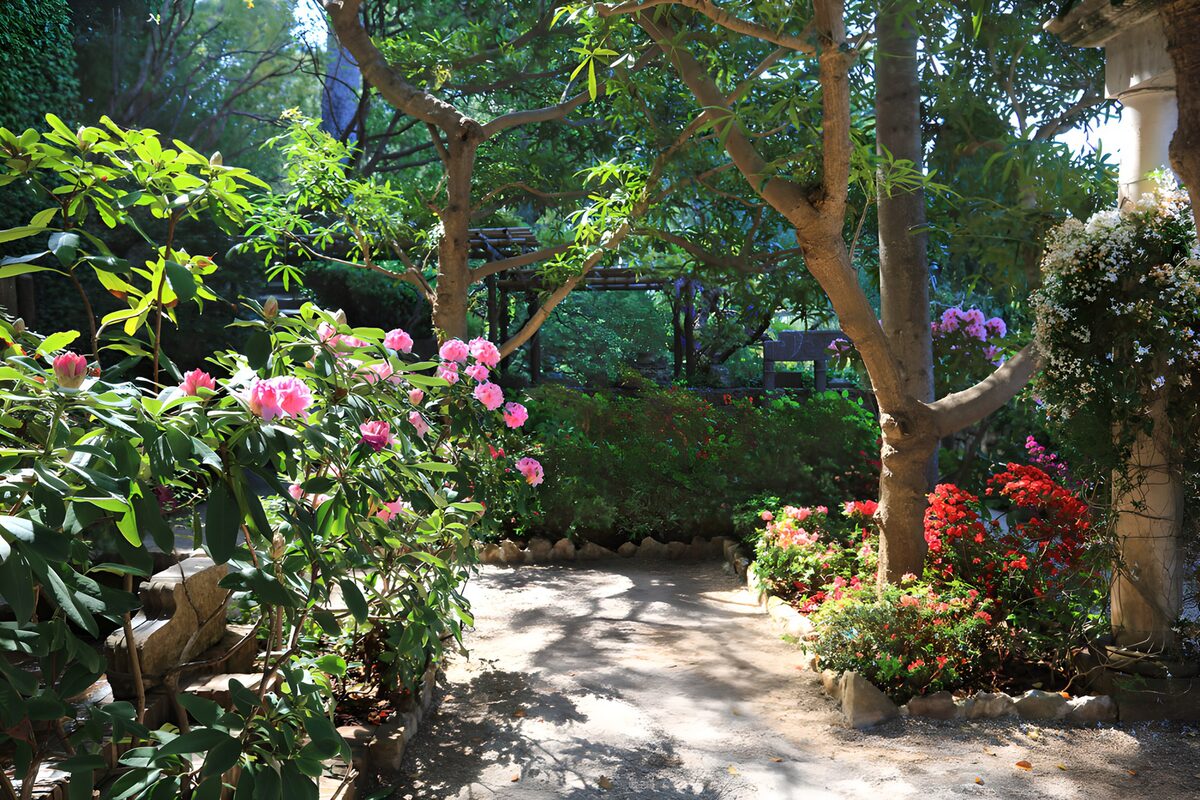 OCUK15863: Serene Garden Pathway