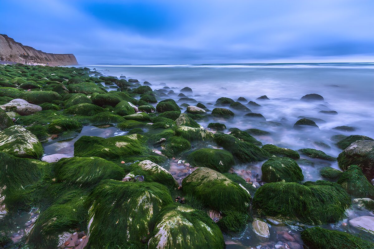OCUK27853: Serenity at the Rocky Shoreline