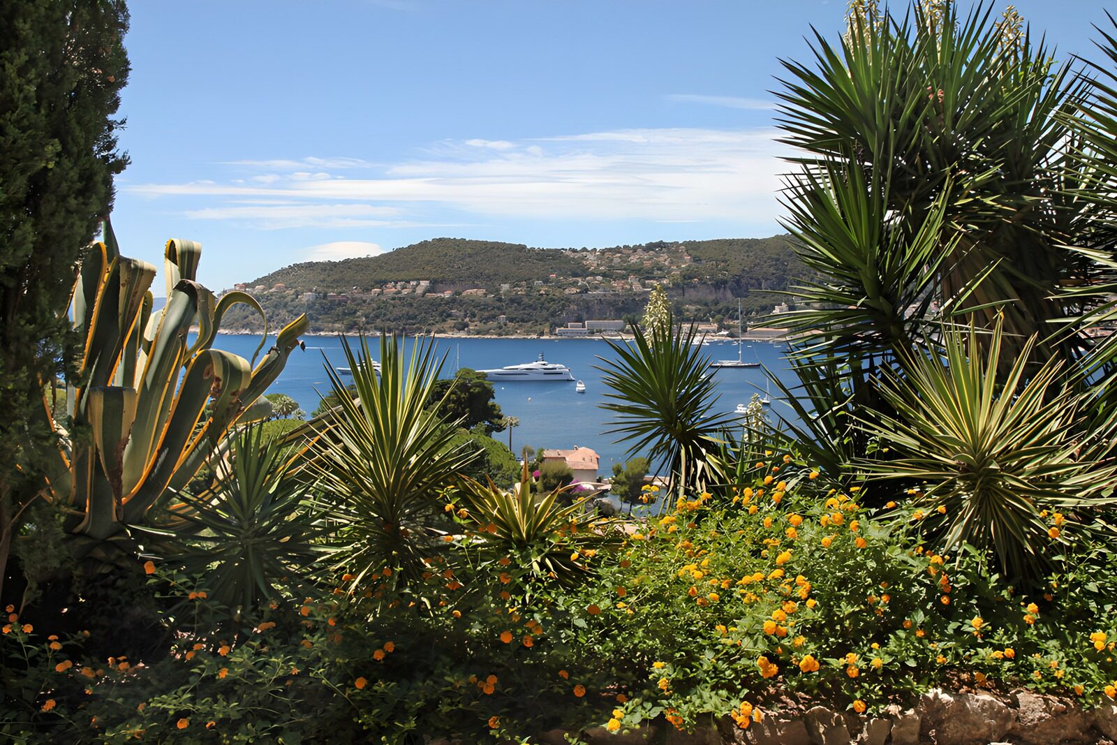 OCUK38660: Coastal Serenity Amidst Lush Flora