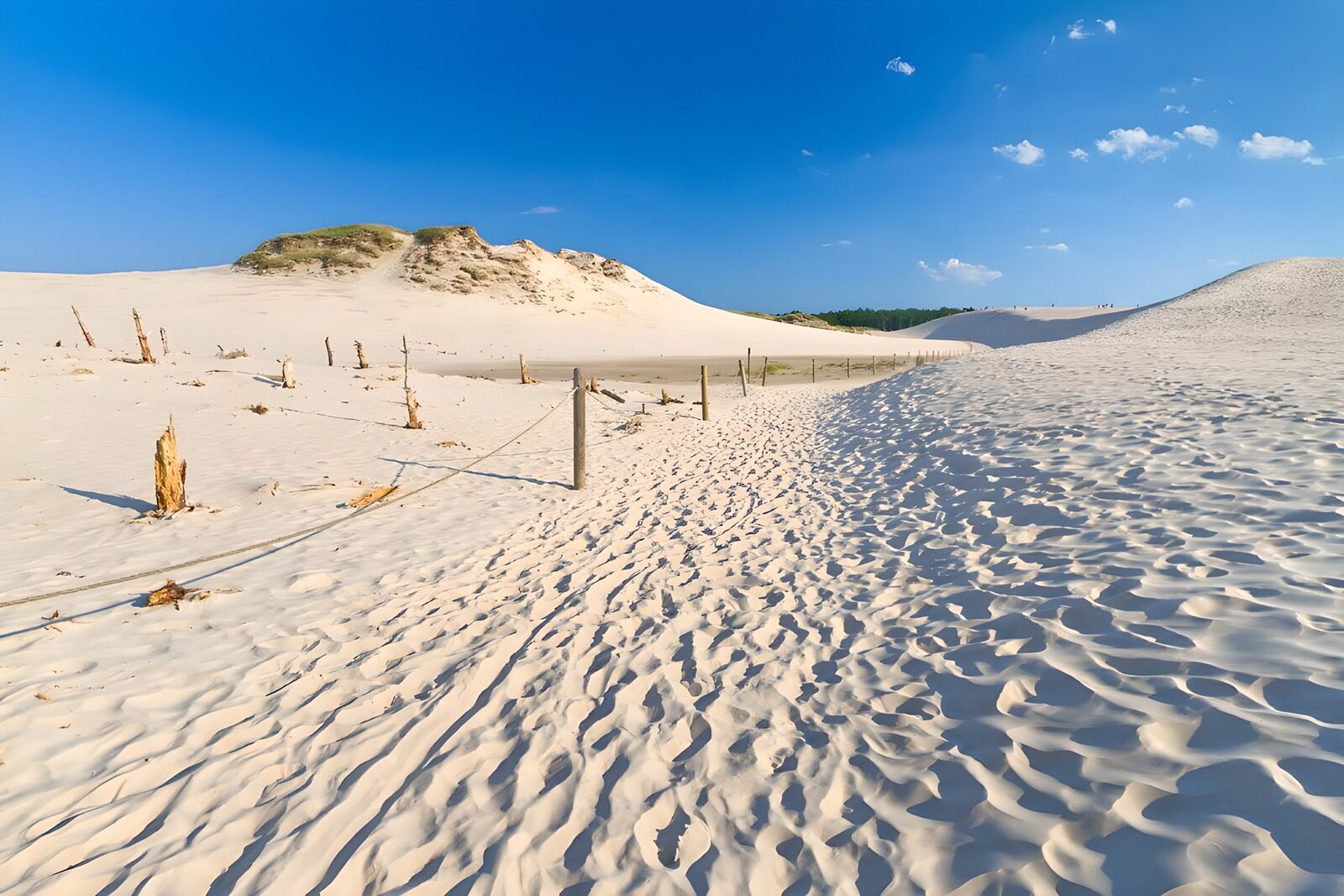 OCUK74896: Pathway in the beach between the dunes