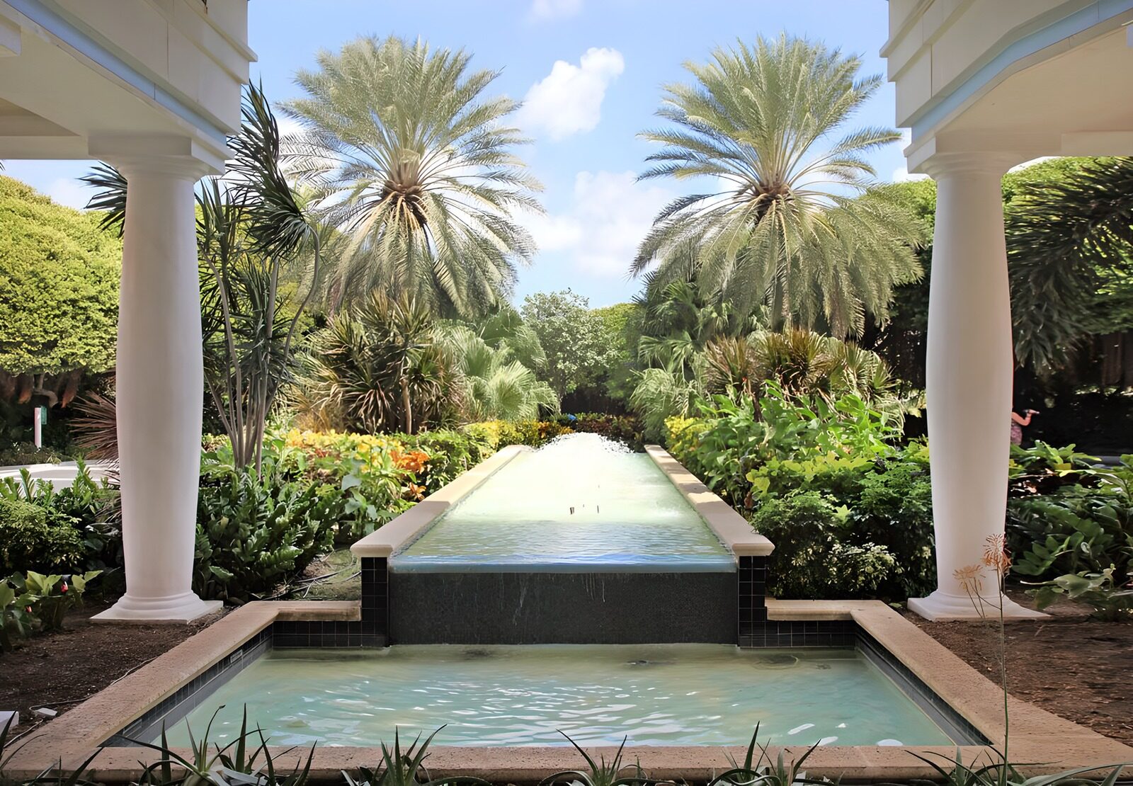 OCUK40815: View from hotel with 2 palm trees
