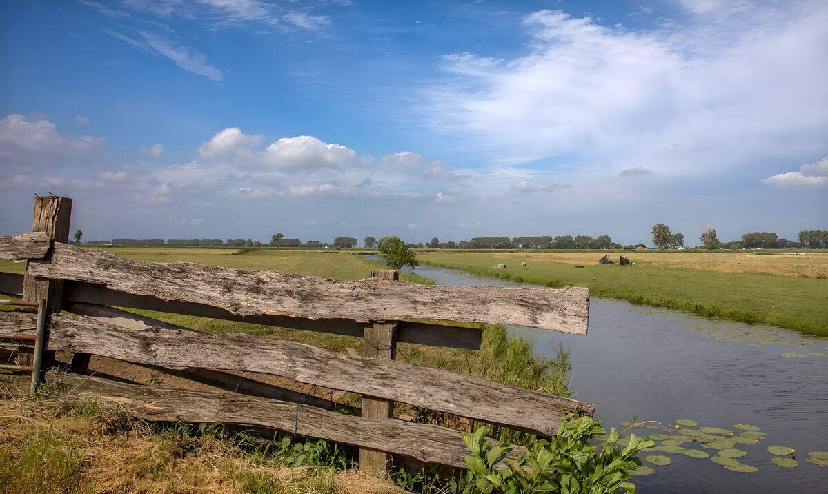OCUK70815: Serene Countryside Landscape