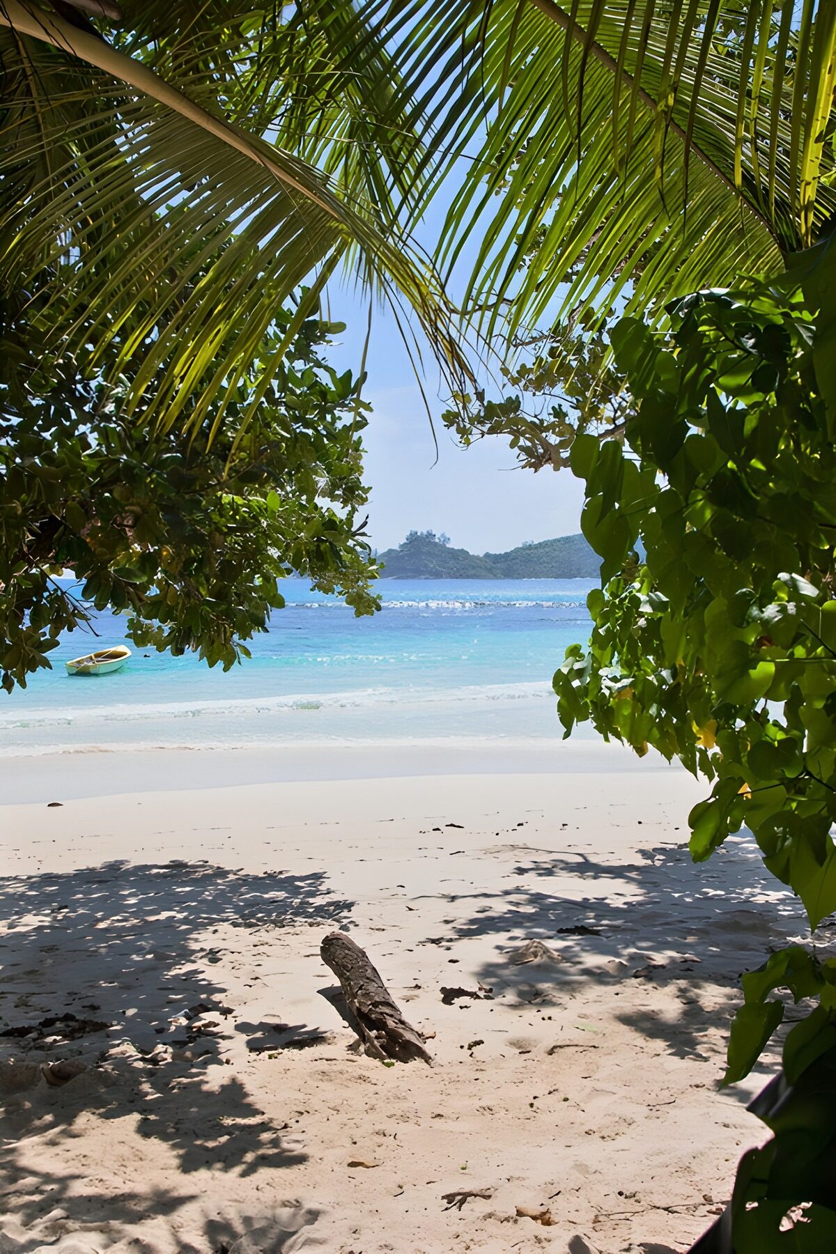 OCUK91738: Tropical Paradise View