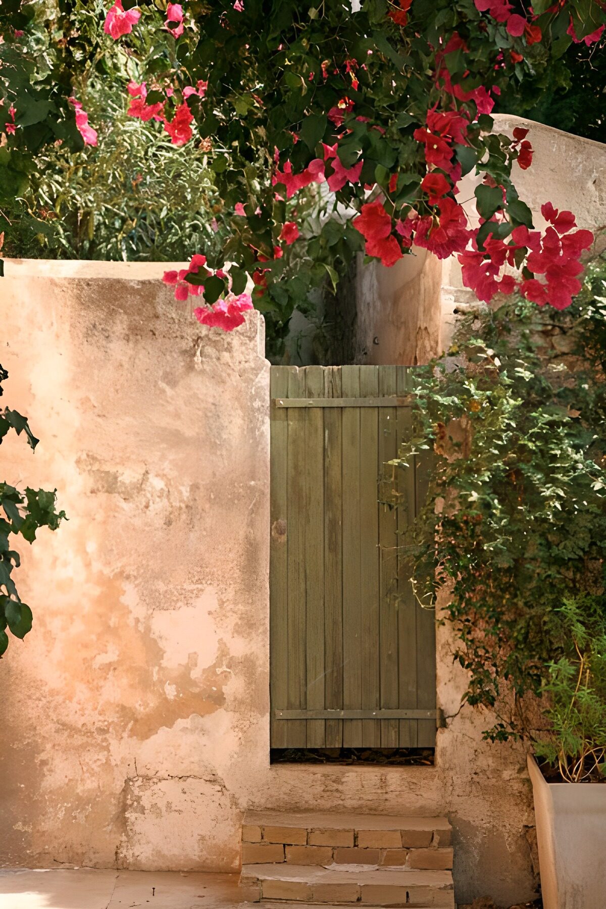 OCUK73497: Wooden door with wall and flowers 1