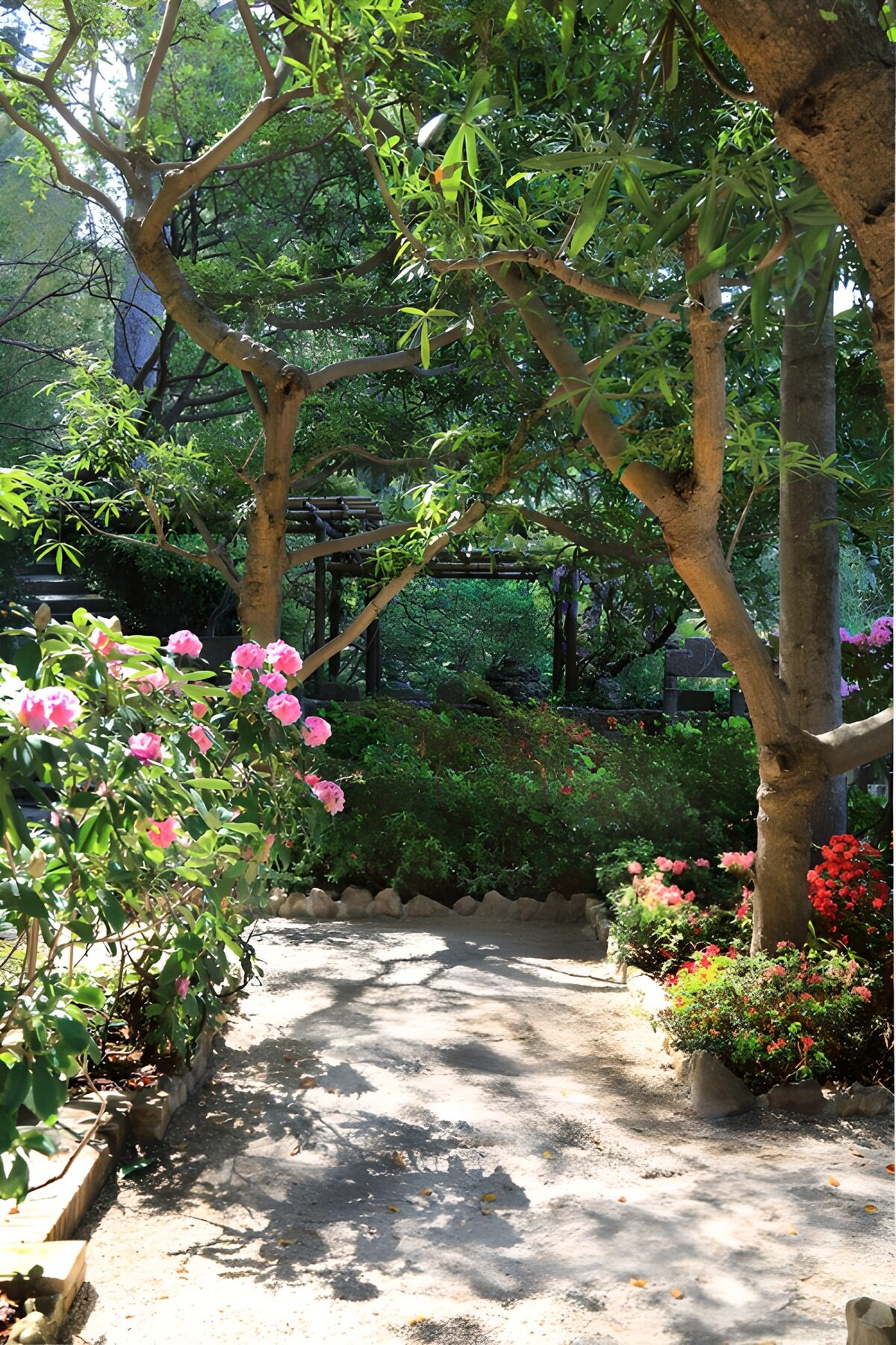 OCUK67963: Tranquil Garden Pathway