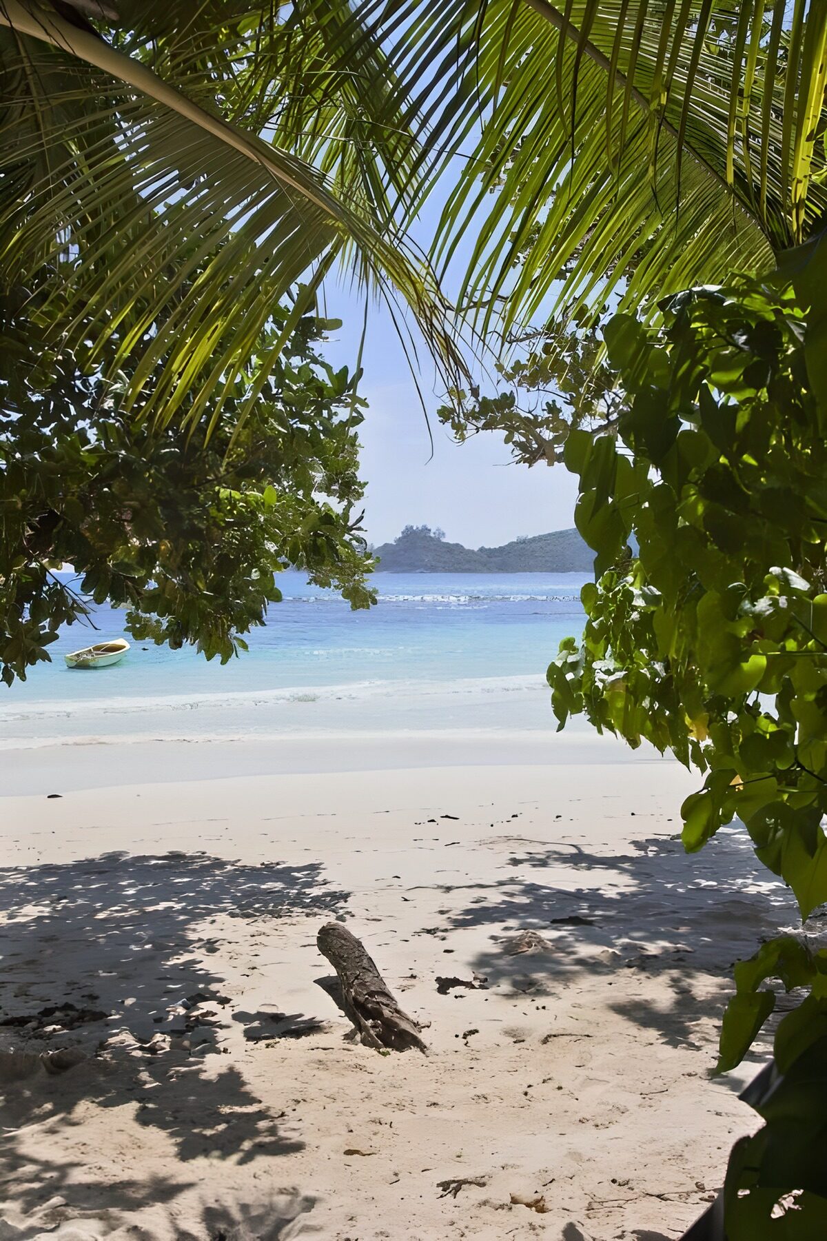 OCUK50925: Serene Tropical Beach View