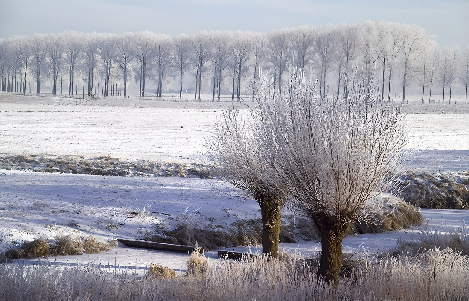 OCUK94184: Frosty Winter Landscape