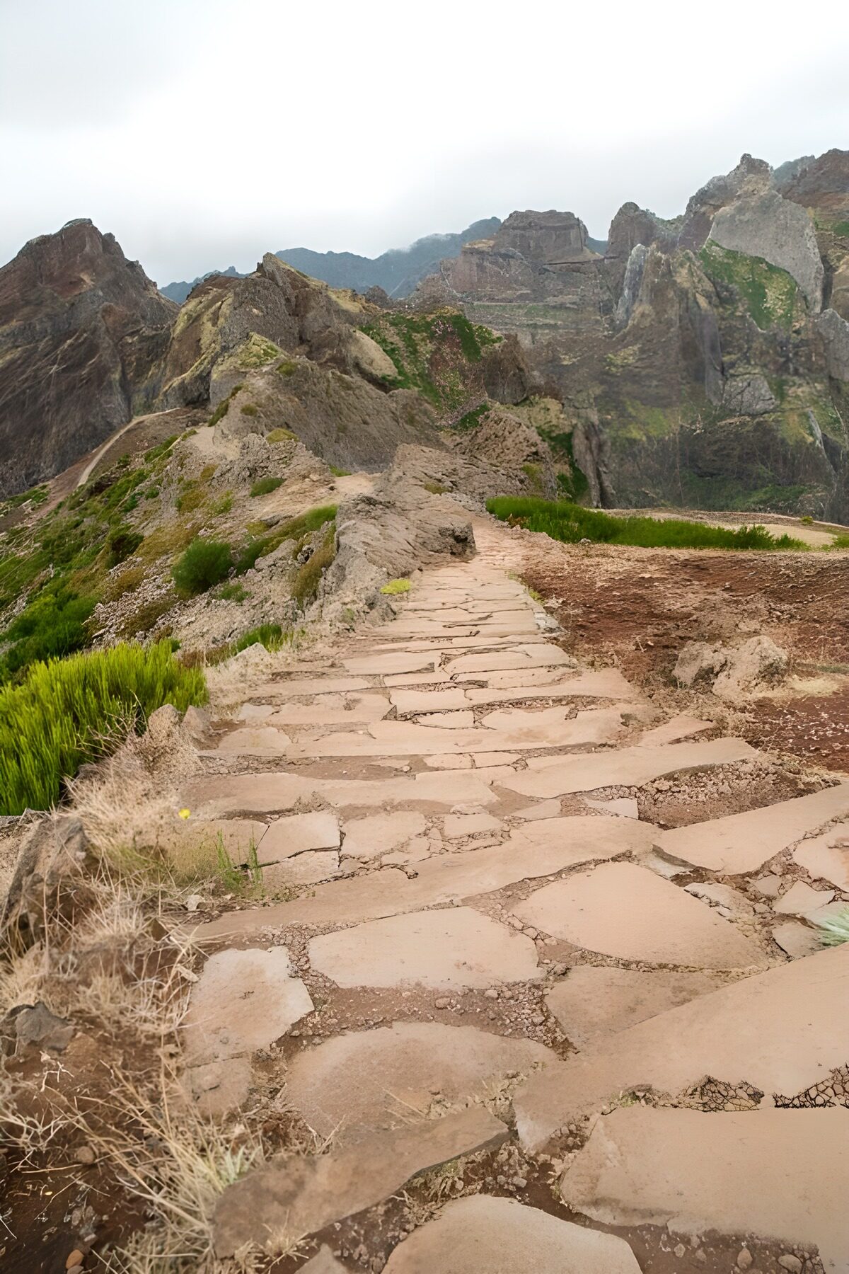 OCUK16828: Scenic Trail Through Rocky Mountains