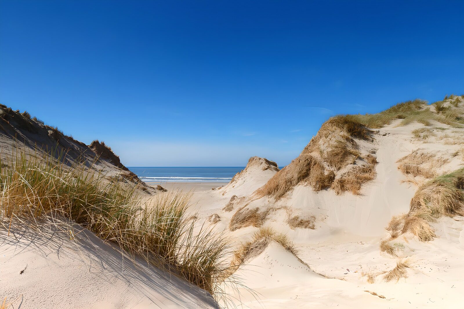 OCUK62049: Serene Sandy Dunes Under Clear Skies