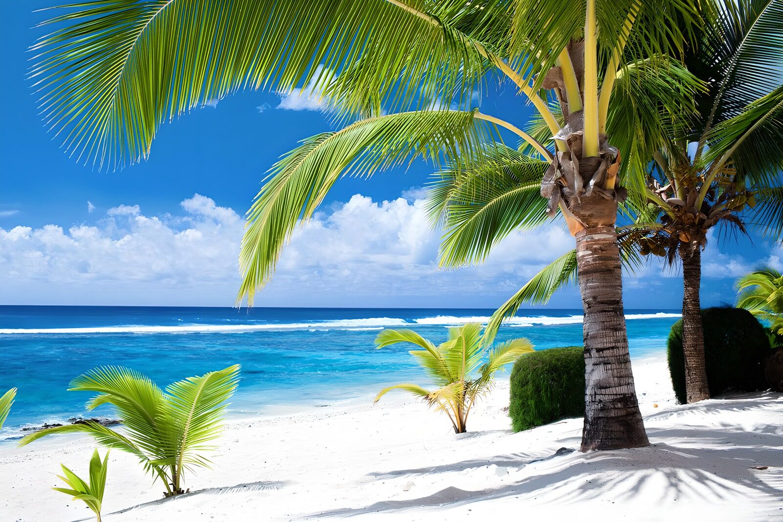 OCUK80181: Tropical Paradise by the Ocean