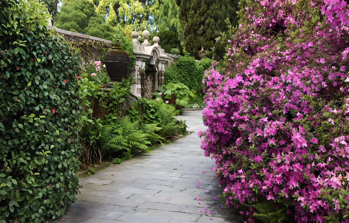 OCUK13177: Serene Garden Pathway