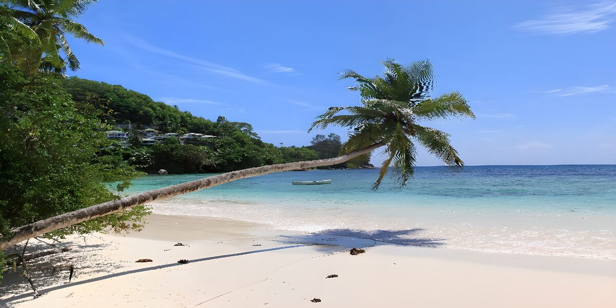 OCUK74144: Serene Tropical Paradise