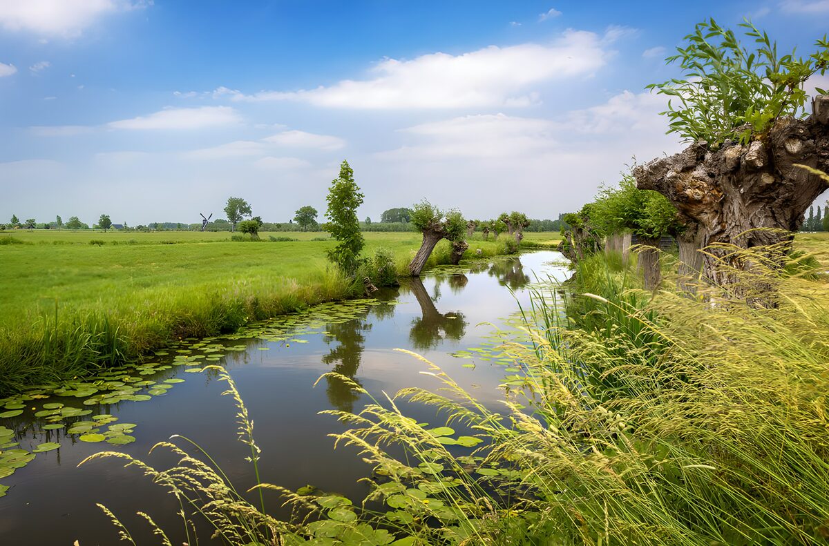 OCUK36972: Tranquil Riverbank Reflection